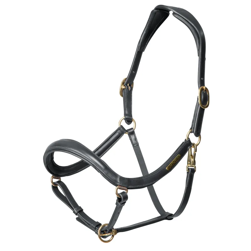 Shires Velociti Rapida Curved Leather Headcollar - Black
